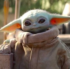 Meet your Posher, Harold